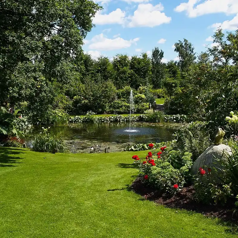 Праектаванне купальных сажалак Эка-басейны Сажалкі — IMG 03