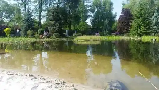 Канструкцыя купальных сажалак — дэкаратыўныя сажалкі