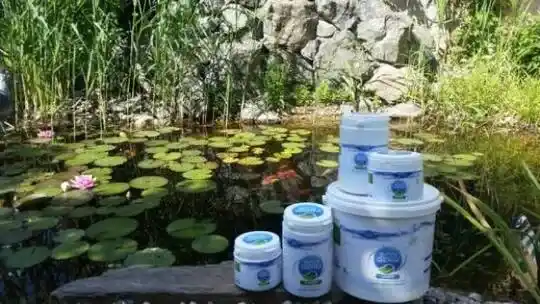 Дызайн купальных сажалак, будаўніцтва - Падрыхтоўка да сажалак