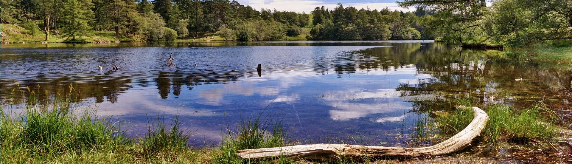 Канструкцыя купальных сажалак — горка 02